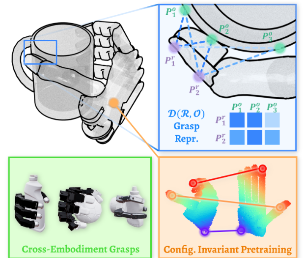 Featured image of post D(R,O) Grasp